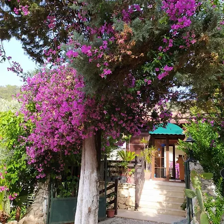 Otel Alya Göcek