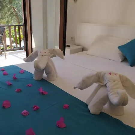 Hotel Alya