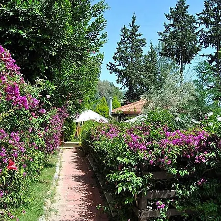 Alya Hotel Gocek (Fethiye)