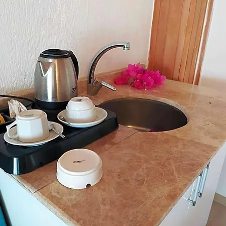 奥尔亚酒店 酒店 戈西克