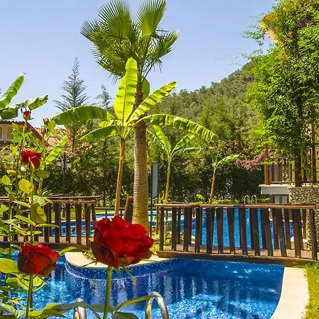 Otel Alya 5*