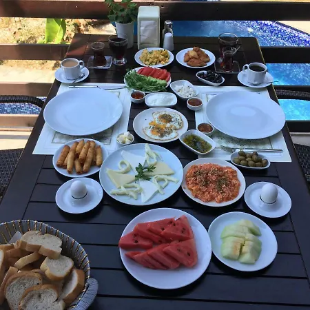 Otel Alya
