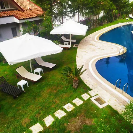 Alya 5*